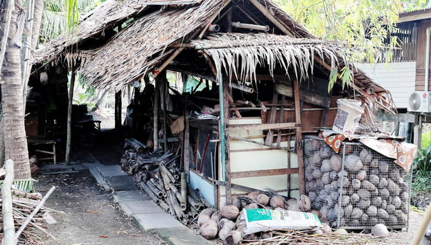 Samut Songkhram Province: the Trail of Coconut Orchards and Sea Salt Fields – Full-Day Tour - Foto 3